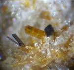 Clinopyroxene Emmelberg Eifel Germany 0,3 mm coll. e foto L. Mattei 